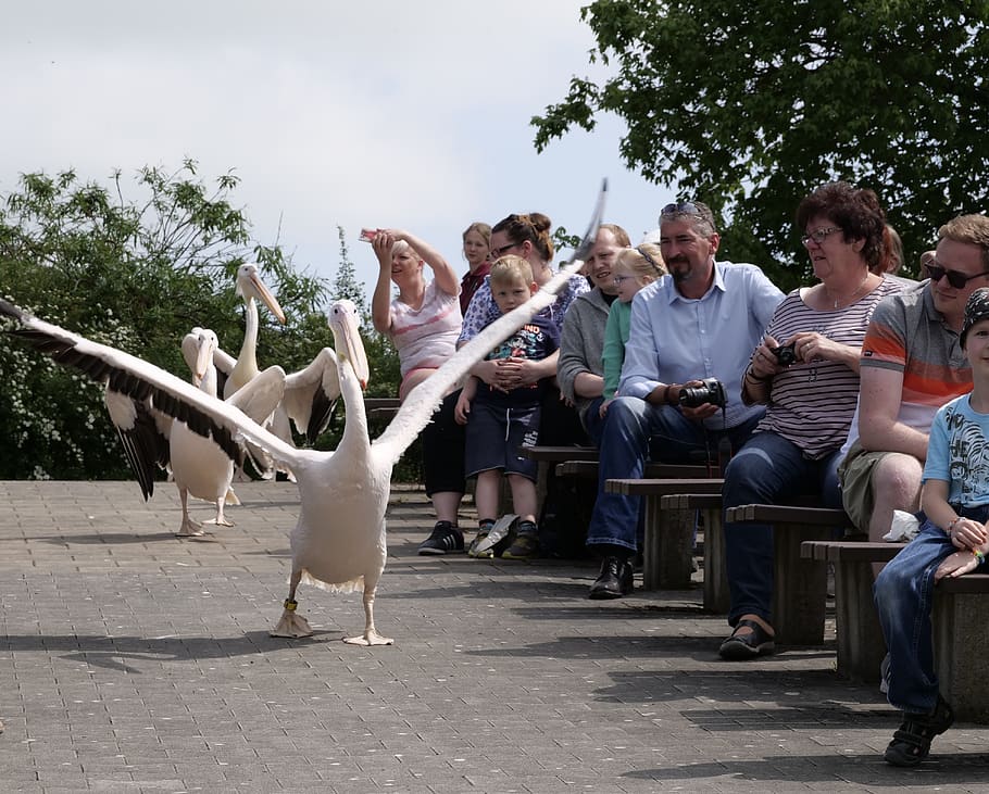 Marlow Bird Park