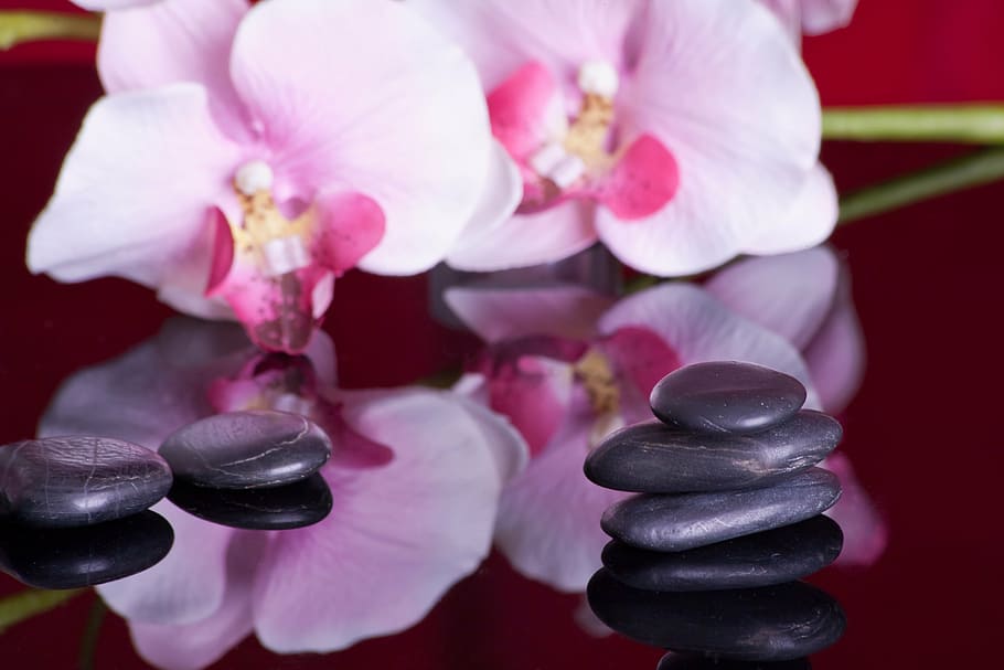 pilha, preto, seixos, massagem, espelhamento, orquídea, recuperação, relaxamento, pedras curativas, espiritual