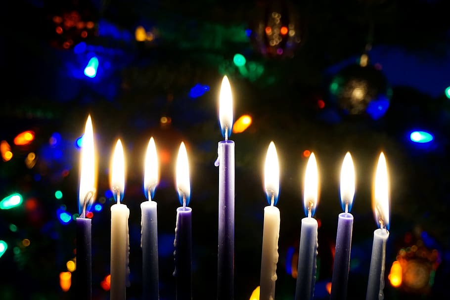 christmas, christmas tree, winter holidays, hanukkah, hanuka, judaism, chanukah, jewish, religion, holiday
