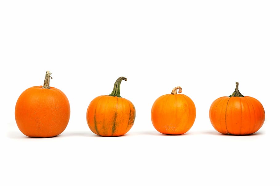 four orange pumpkins, autumn, decoration, fall, food, fresh, freshness, halloween, harvest, holiday