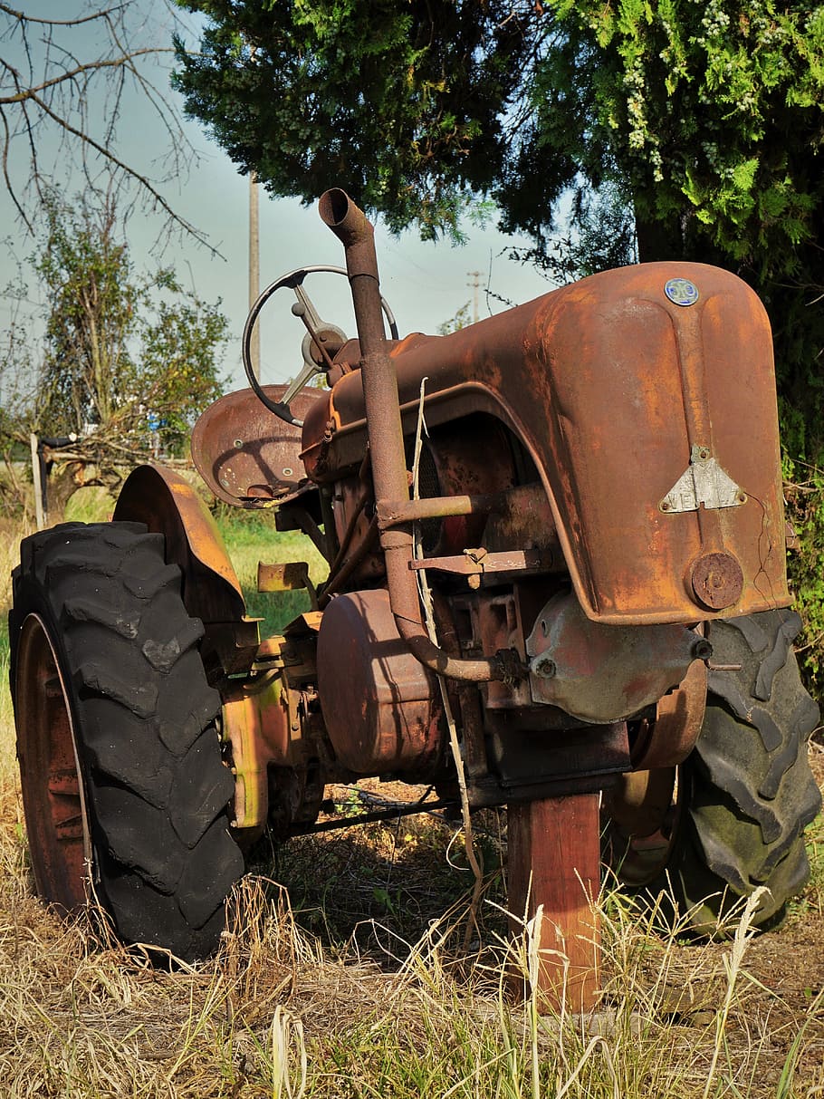 tractor, inoxidable, italia, máquina, antiguo, viejo contador de tiempo, tractores, hierro, verde, pueblo fantasma