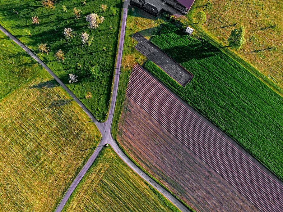aerial, view, brown, green, field, farm, nature, road, path, outdoor
