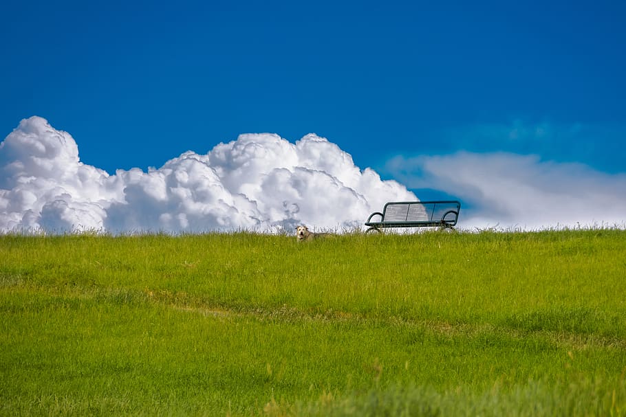 Cloud banks