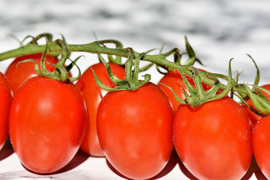 bundle, red, tomato, tomatoes, trusses, bush tomatoes, vegetables, healthy, fresh, vegan