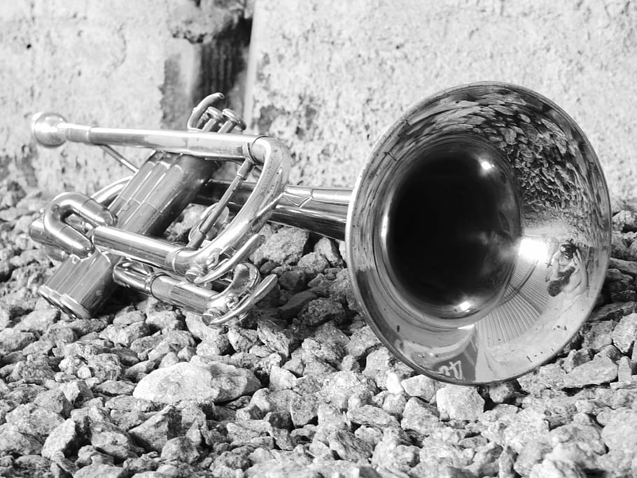 Fotografía en escala de grises, trompeta, música, instrumento, metal, trombón, blanco y negro, instrumento musical, instrumento de viento, instrumento de metal