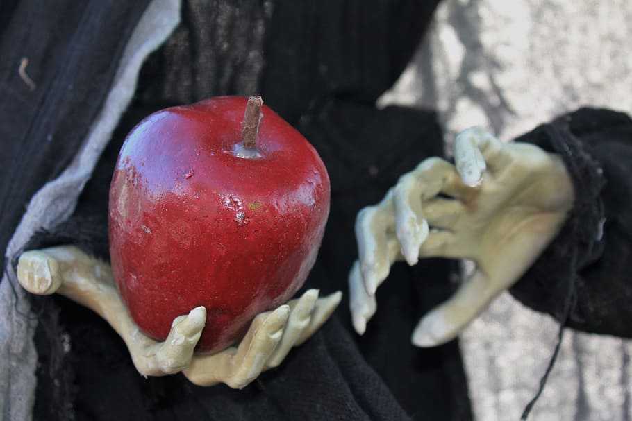 person, holding, red, apple, halloween, poisoned apple, decor, all hallow's eve, holiday, octoberfest