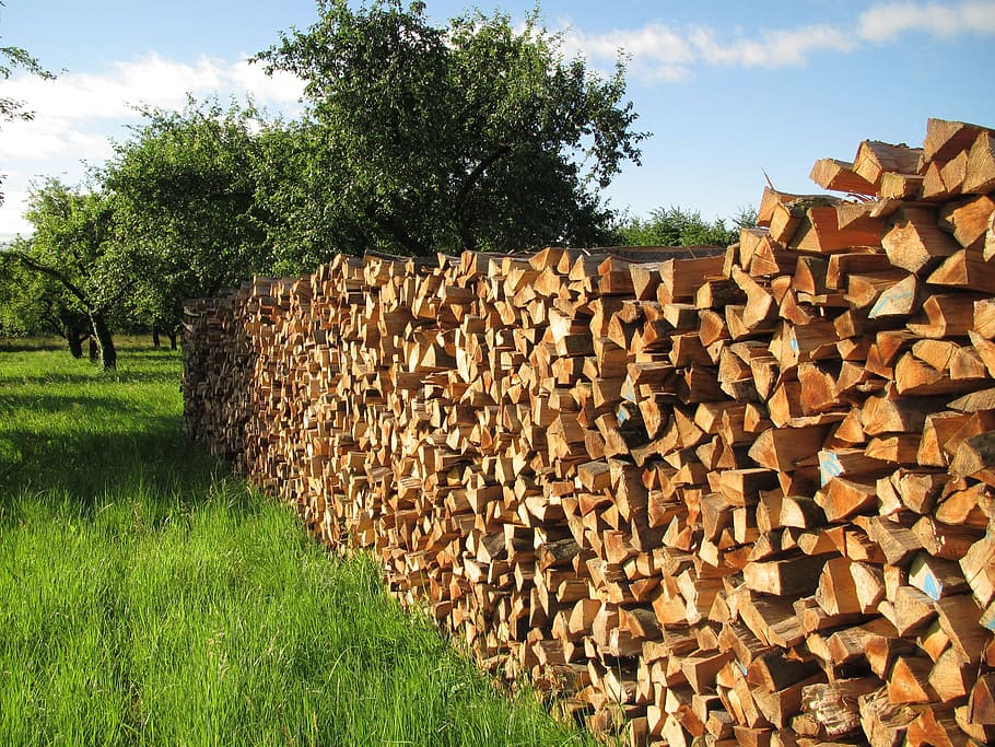 pile, firewood, grass field, trees, daytime, tree wood, wood, batten, stacked up, stacked