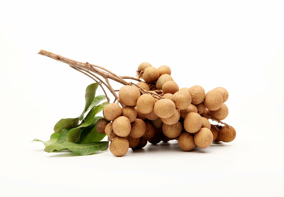 round brown fruits, longan, fruit, fresh, thailand, organic, tasty, plant, food and drink, food