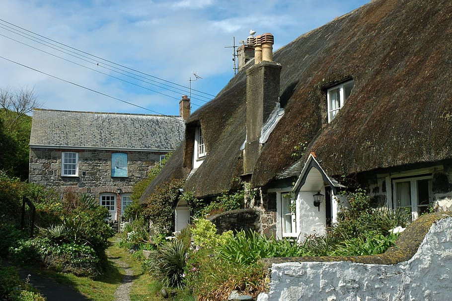 england, cornwall, thatched roof, cottage, garden, summer, village ...