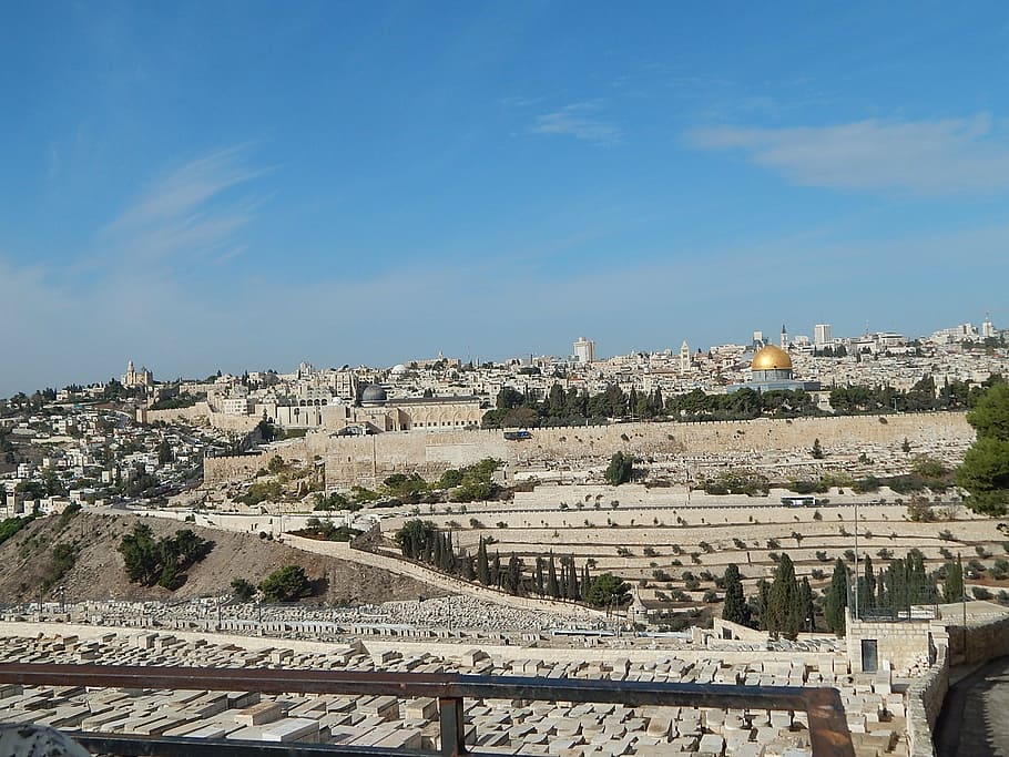 city buildings, trees, jerusalem, temple, view, mount, olives, palm sunday, tombs, dome