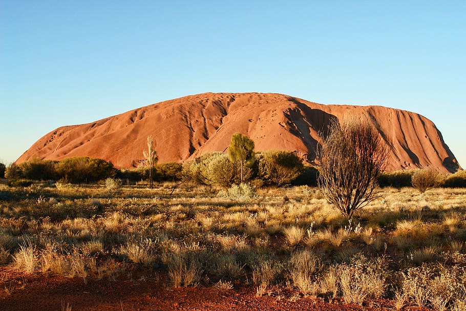brown, rocky, mountain, daytime, Australia, Ayers, Rock, Uluru, Outback, ayers, rock, uluru