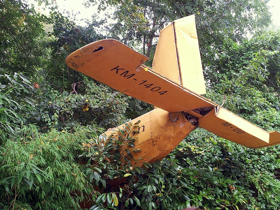 aircraft, wreck, plane wreck, adventure zoo, hanover, crash landing, mystical, plane crash, oldtimer, jungle