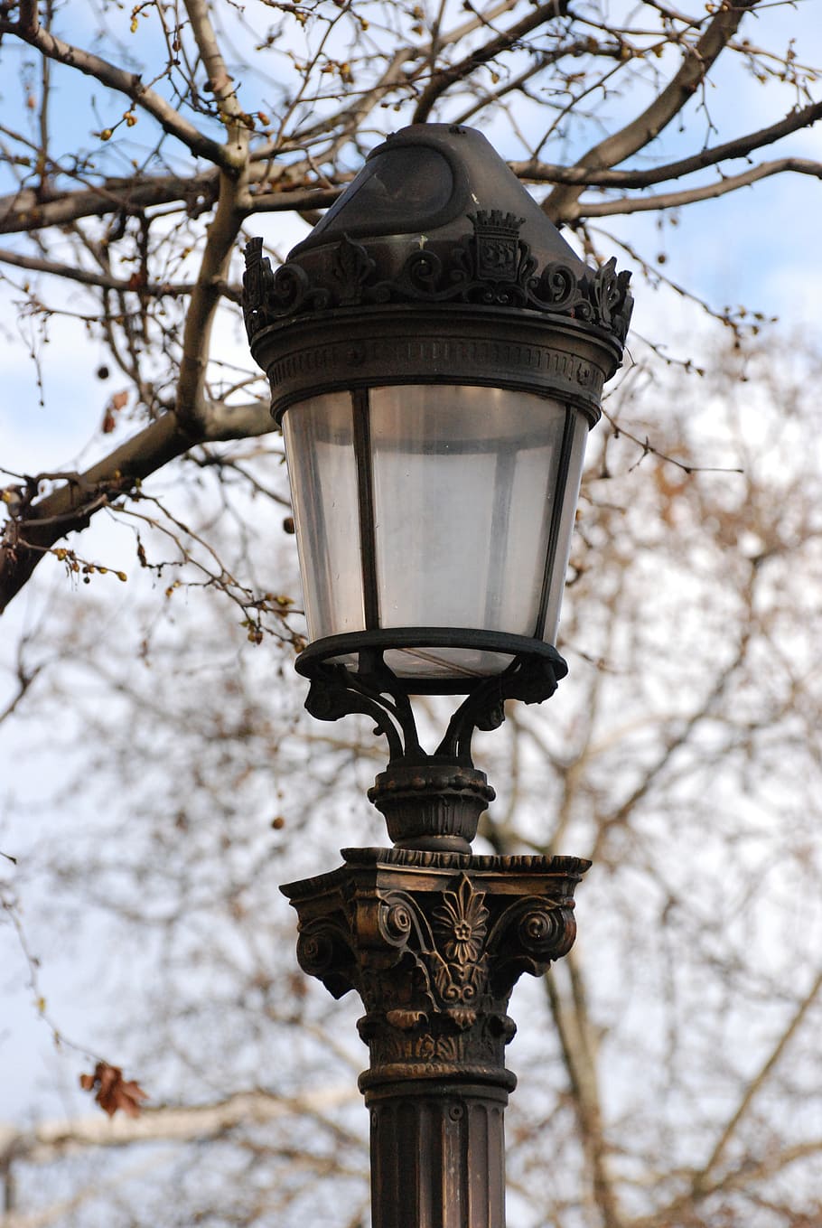 lighting, luminaire, electricity, lantern, street Light, electric Lamp, outdoors, old, tree, low angle view