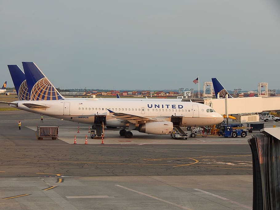 united, airplane, parked, airpot, plane, airport, terminal, united airlines, commercial, trip