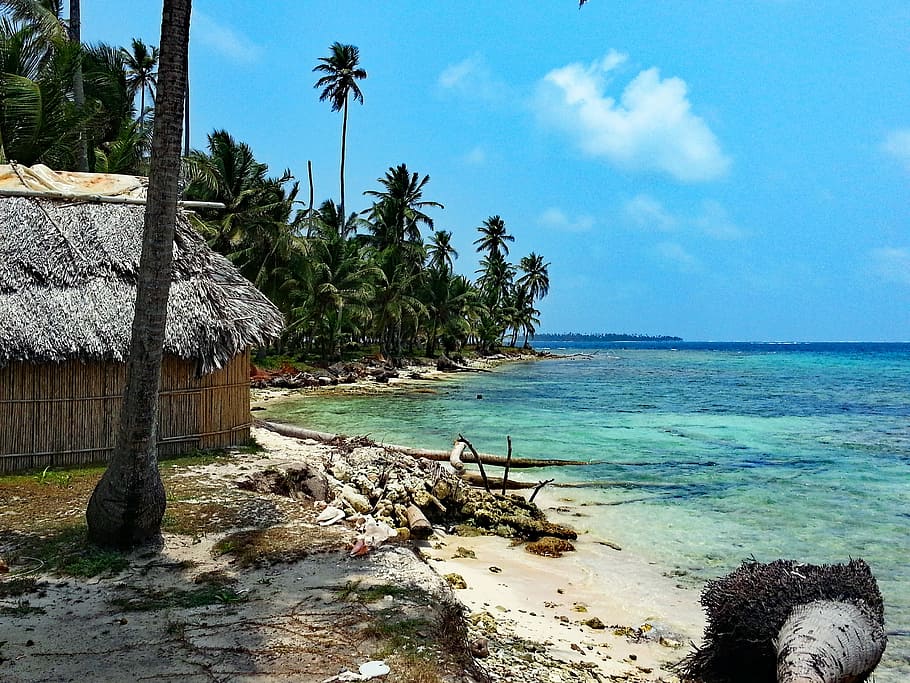 Brown Hut, Isla Diablo, San Blas, Panamá, Guna Yala, Caribe, isla, palmeras, mar, playa