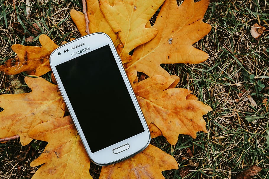 秋, 葉, 地面, 紅葉, 黄色, モバイル, スマートフォン, 茶色, 自然, テクノロジー