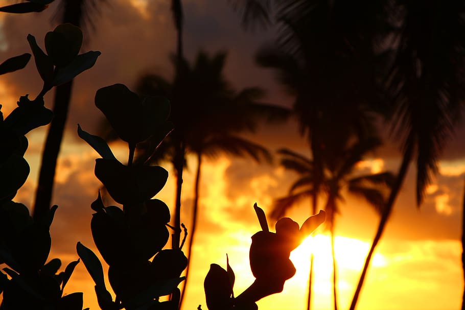 kapa'a, kauai, hawaii, sunset, silhouette, island, backlit, beach, sun, sky