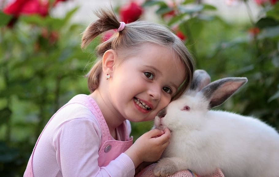 toddler girl, white, rabbit, daytime, girl, friendship, love, supplies, child, rabbit - Animal