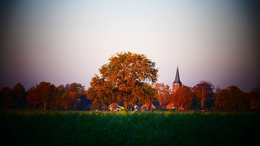pass, village, landscape, architecture, netherlands, church, rear, gelderland, plant, tree