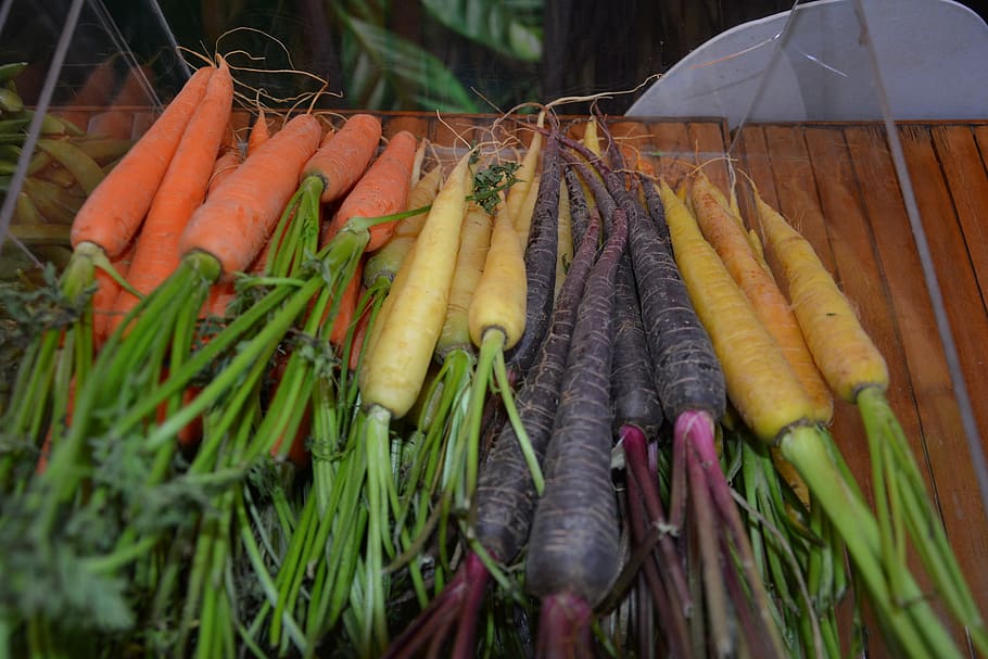 carrots, mini plant, vegetables, vegetable, food, food and drink, healthy eating, freshness, root vegetable, close-up