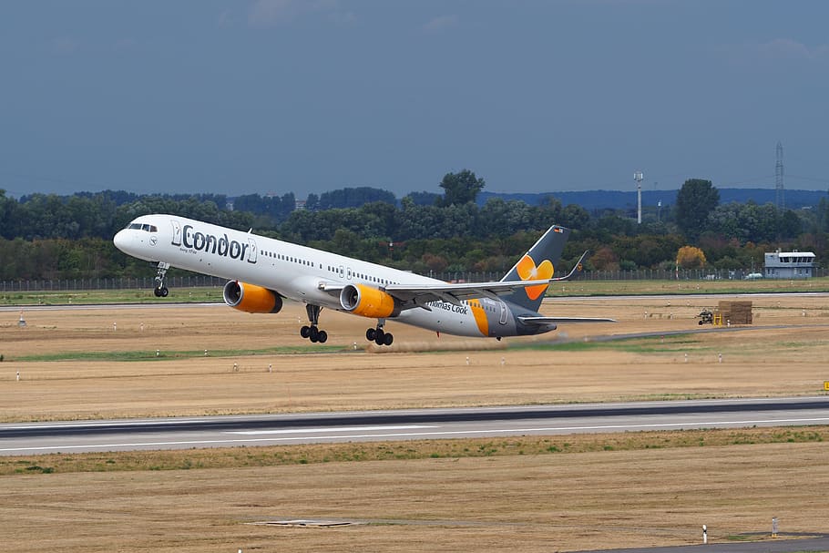 condor, thomas cook, airline aircraft, airline, passenger aircraft, airport, travel plane, air vehicle, airplane, mode of transportation