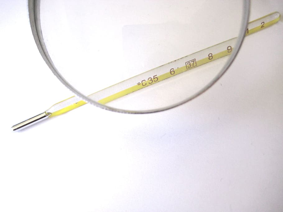 Thermometer, Magnifier, Instrument, medical, health, measurement, diagnostic, care, healthcare and medicine, science
