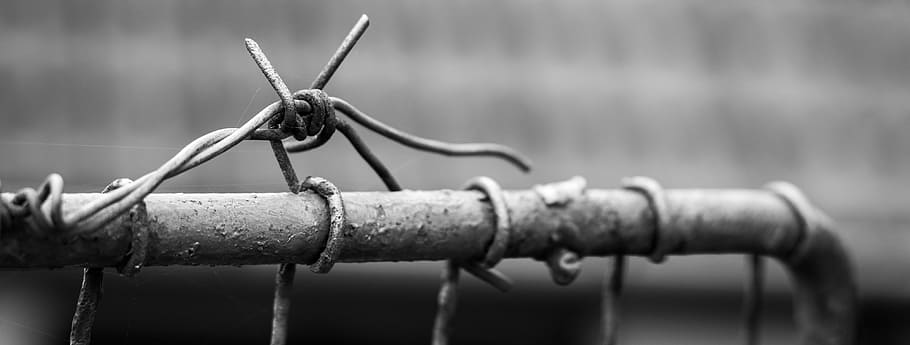 grayscale photography, gray, metal bar, barbed wire, wire, fencing, defense, fence, metal, black and white