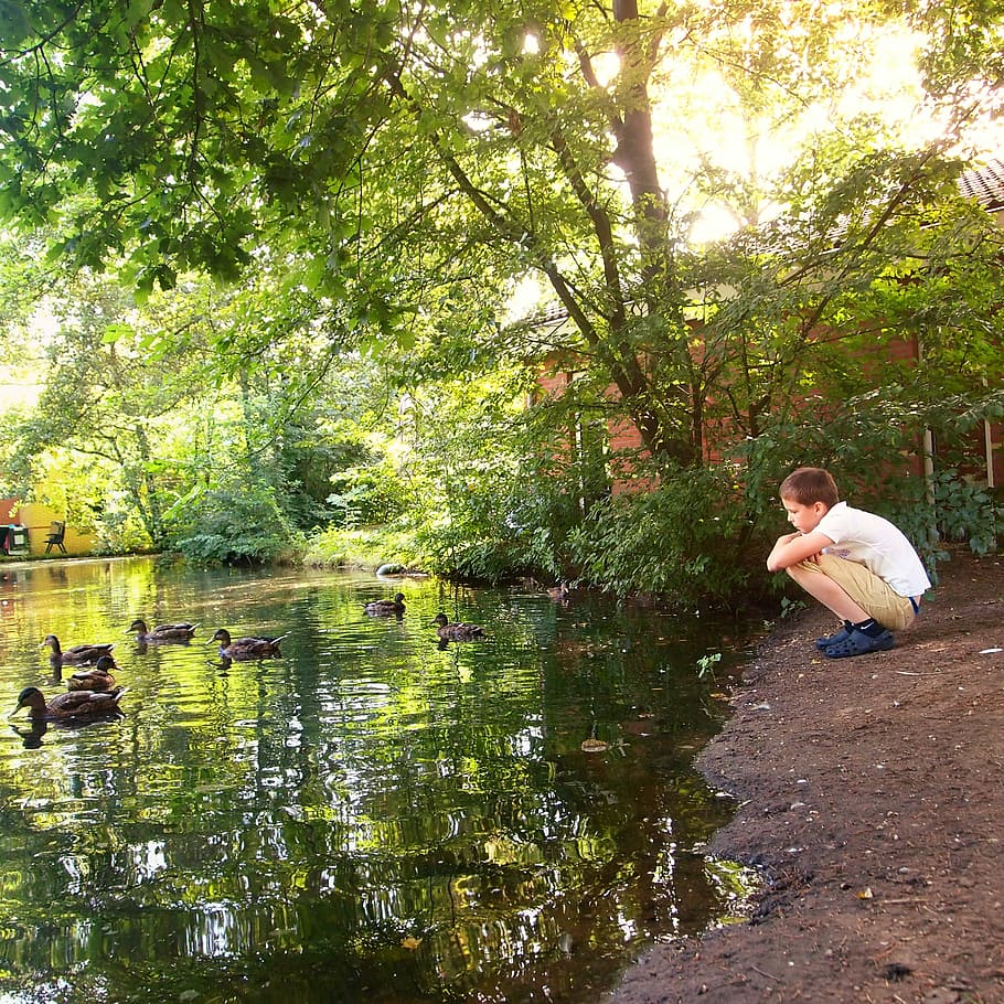 Boy, Crouch, Sit, Water, Ducks, rest, child, adults only, full length, tree