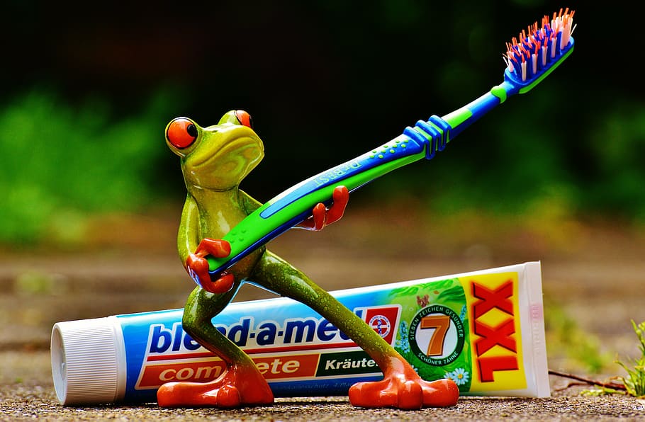 green, frog figurine, holding, toothbrush, daytime, toothpaste, frog, brushing teeth, hygiene, clean