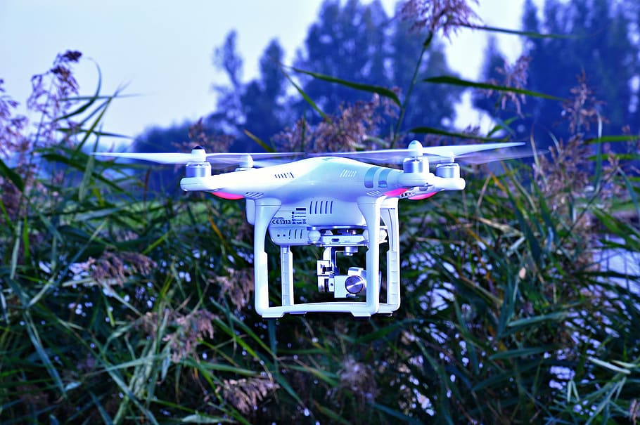 volando, blanco, dji drone, al lado, verde, árbol de hoja, durante el día, drone, airdrone, helicóptero