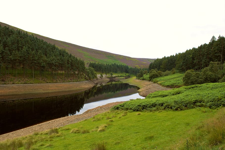 peak district, reservoir, howden reservoir, trees, calm, water, reflections, nature, tree, forest
