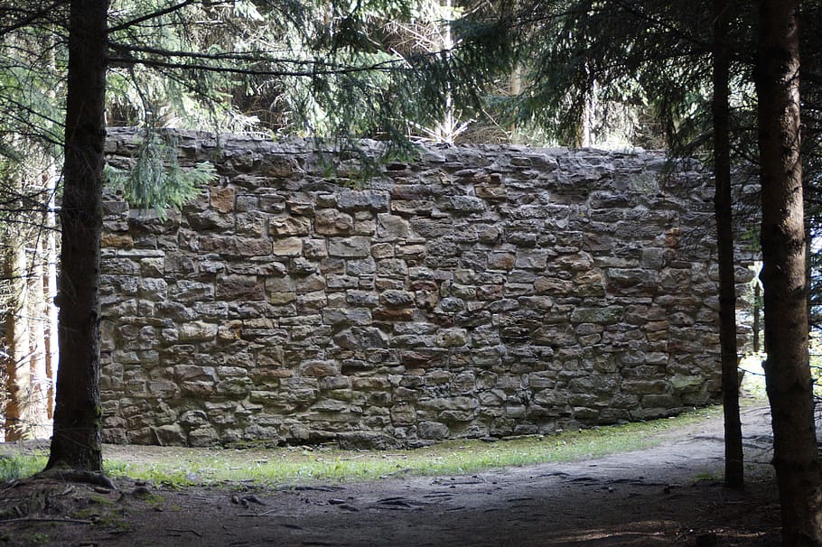 limes, devil's wall, wall, fragment, germany, romans, antiquity, antique, border, tree