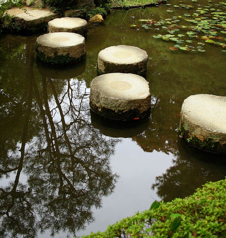 Japón, Jardín, Piedras, Naturaleza, Lejos, reflexión, agua, flotando en el agua, ninguna gente, día