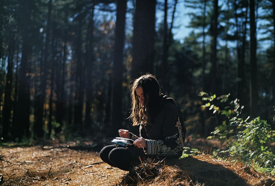 girl, reading, forest, trees, long hair, brunette, people, nature, sunny, tree
