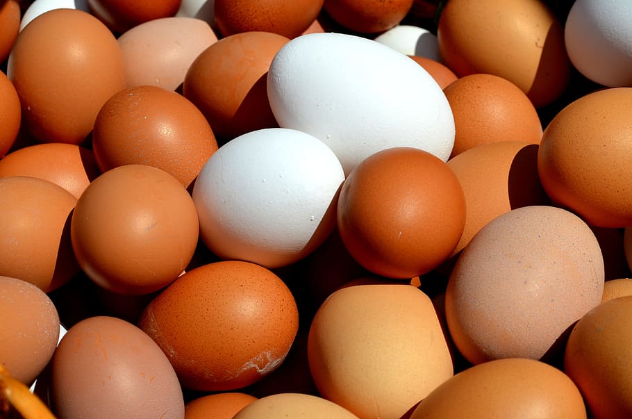 closeup, stack, orange, white, eggs, egg, hen's egg, close, basket cosy, brown egg