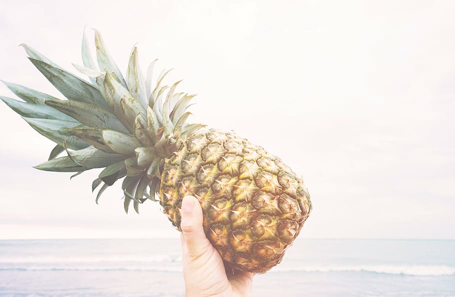 person, holding, pineapple, front, sea, dessert, appetizer, fruit, juice, crop