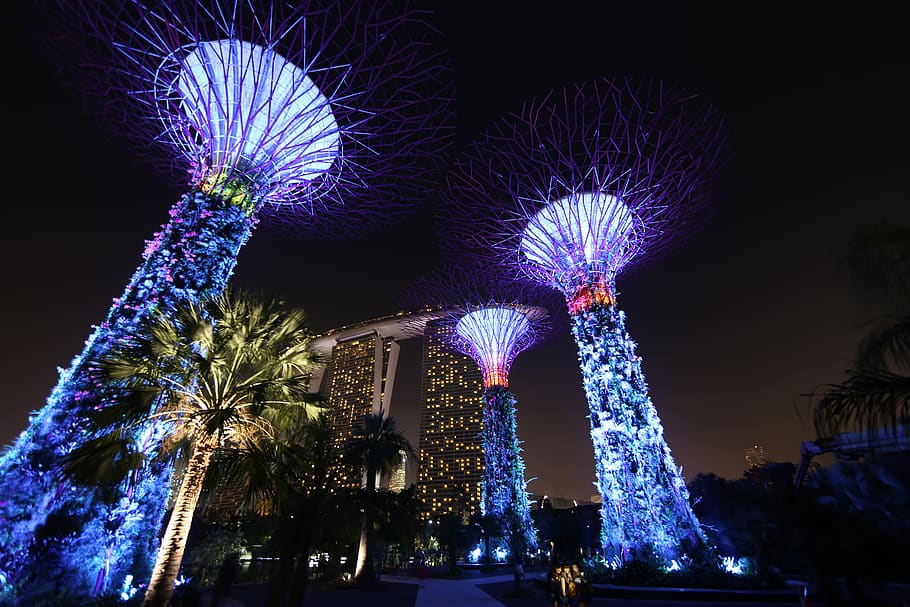 singapore, taman di tepi teluk, di malam hari, desain, malam, diterangi, perayaan, Arsitektur, struktur yang dibangun, menanam