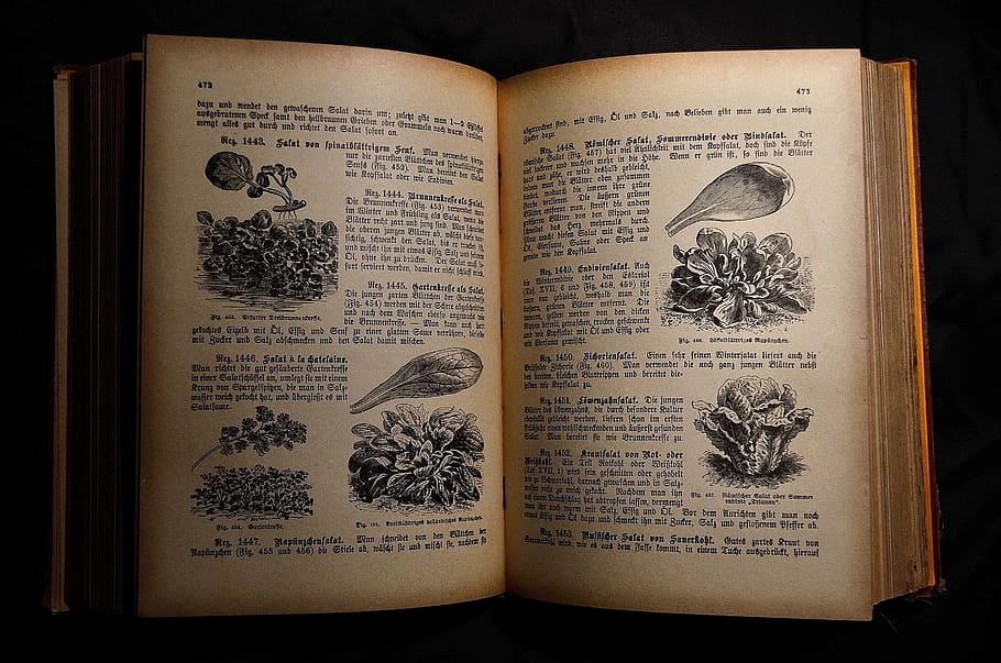 antiquariat, old cookbook, cookbook, book, antiquarian cookbook, antique cookbook, open, text, publication, paper