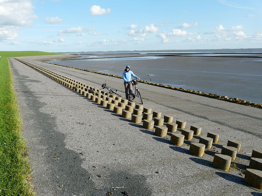 dike, dike road, north sea, nordfriesland, cycling, cycle, dove, outdoors, people, full length