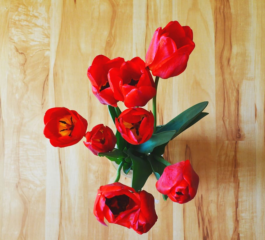 チューリップ, 花, ブーケ, 明るく美しい花, 美しく, 3月8日, 春, 赤, バラ-花, 木-素材