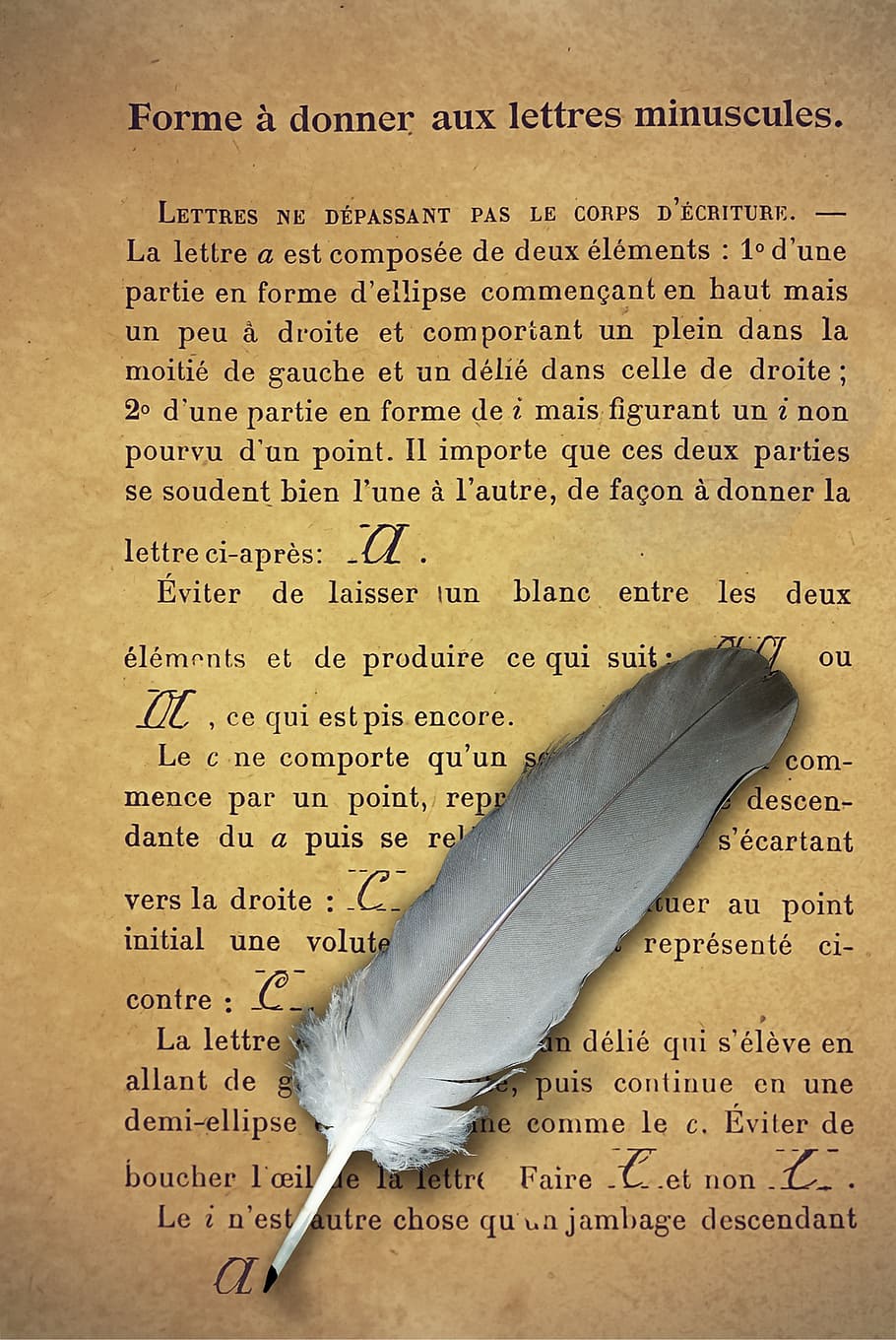 gray quill illustration, writing, page, pen, learn, old book, vintage, duty, text, paper