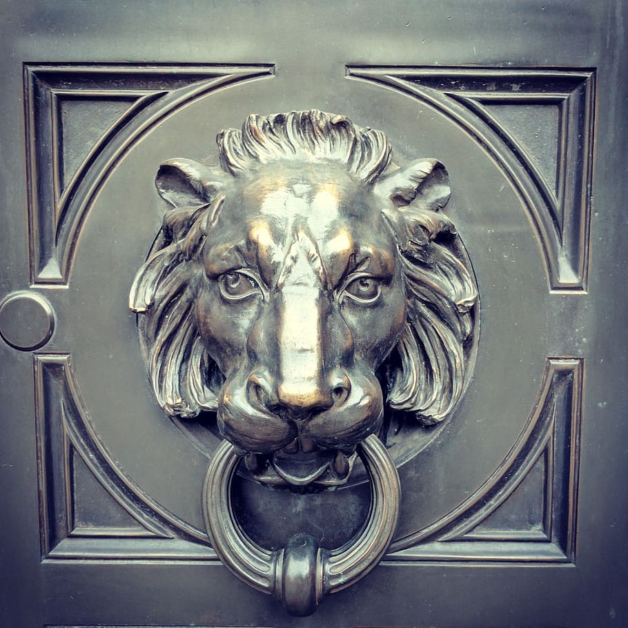 lion, knocker, door, head, metal, bronze, decoration, handle, architecture, ornament