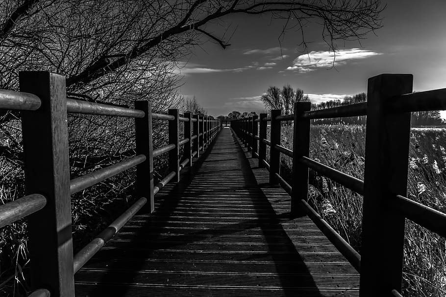 fence, black and white photography, wood, nature, bridge, sky, light, tree, landscape, travel