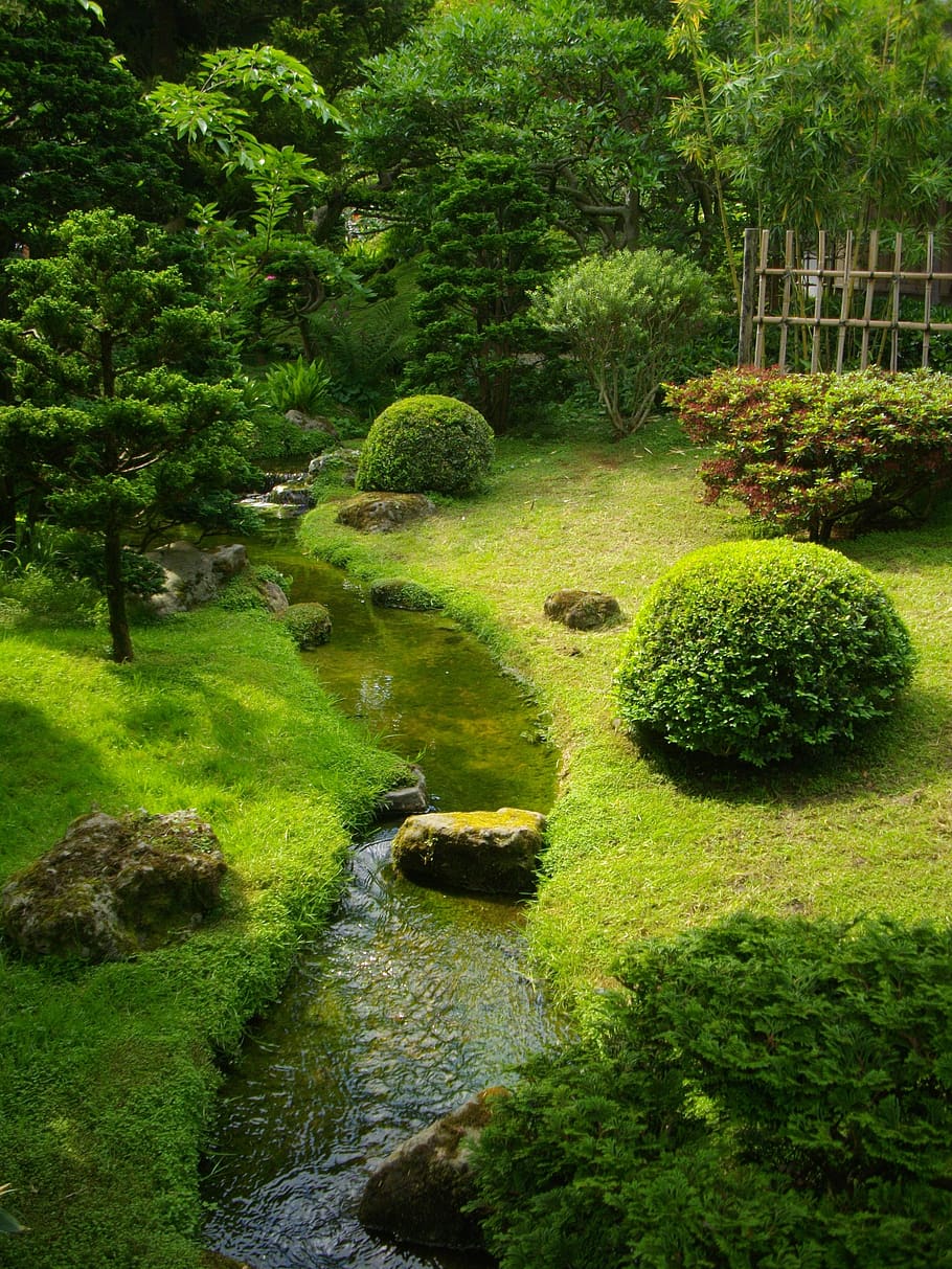 garden, green, creek, nature, trees, plant, green color, growth, tree, formal garden