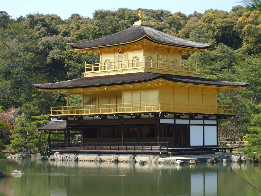 yellow, black, pagoda house, body, water, black pagoda, house, body of water, japan, kyoto