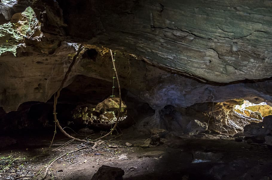 gua abu-abu, kuba, varadero, gua, reserva ecologica varahicacos, batu, objek - batu, padat, di dalam ruangan, geologi