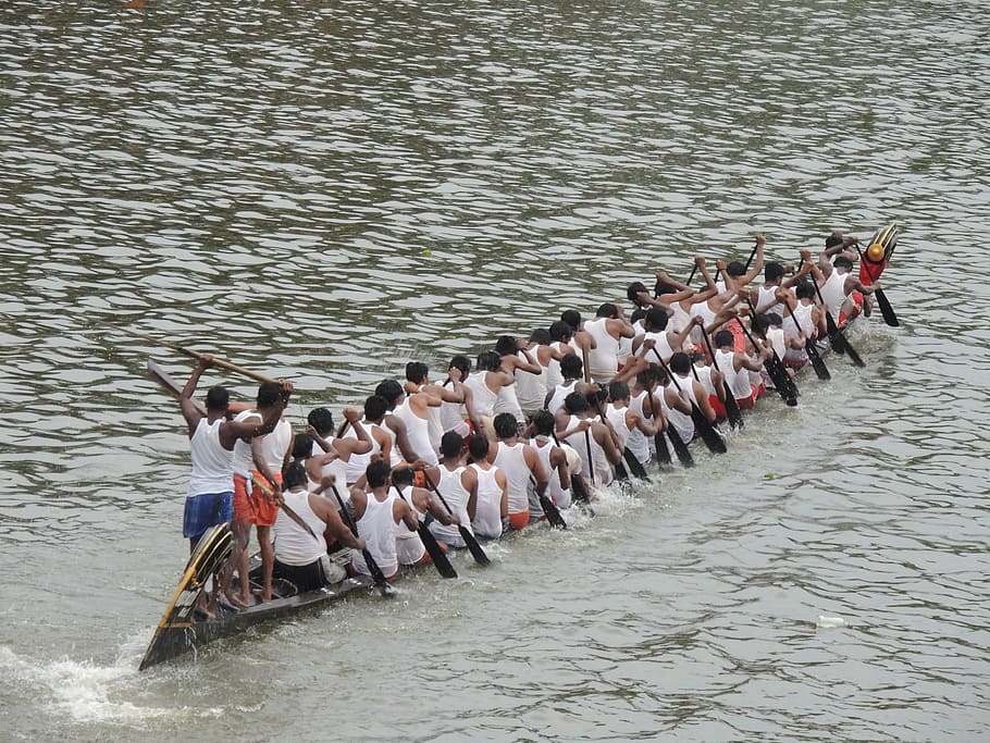 Boat Race, Asia, India, Kerala, boat, race, water, sport, river, culture