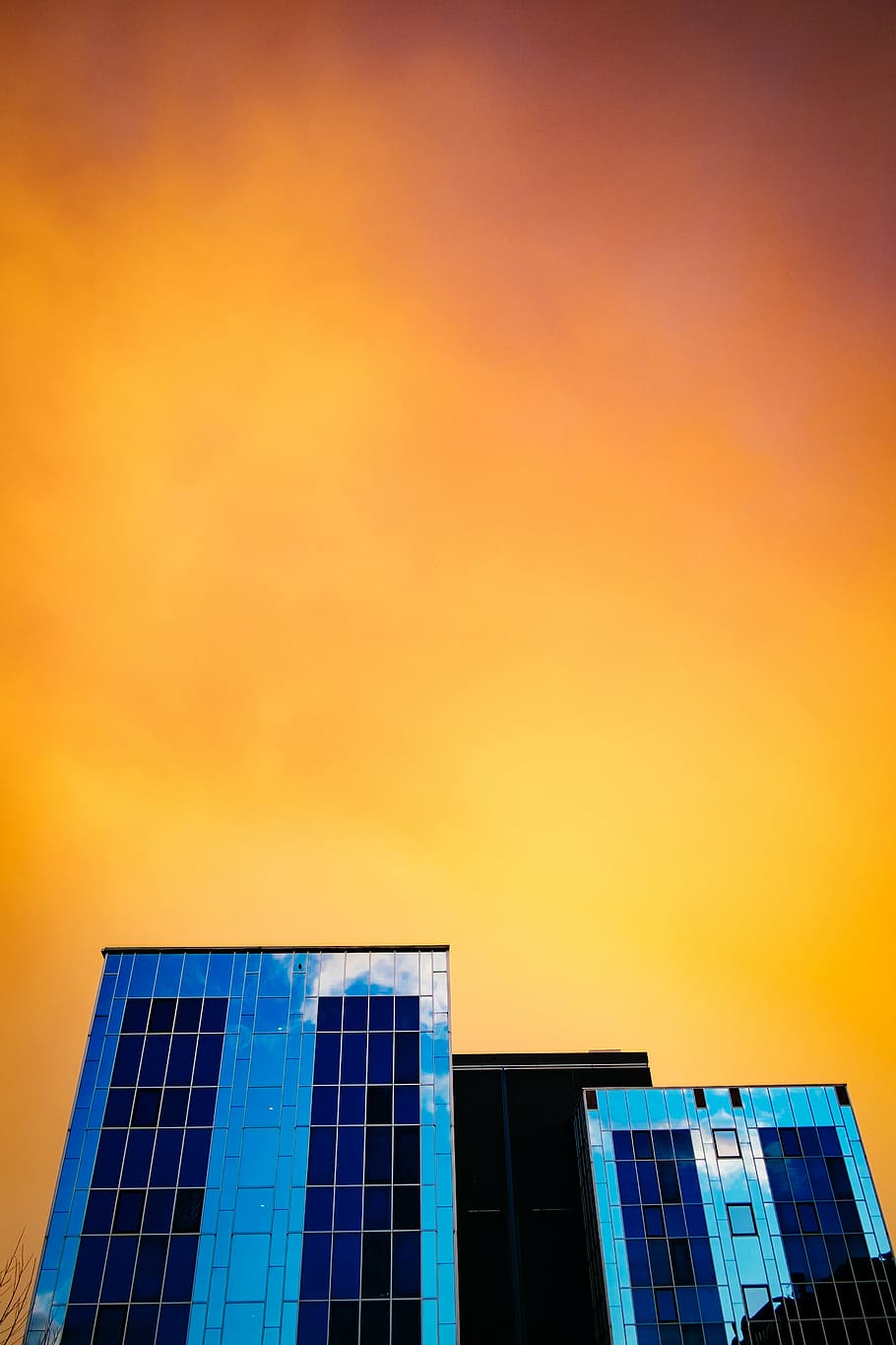 untitled, low, angle, photography, high, rise, building, sunset, dusk, sky