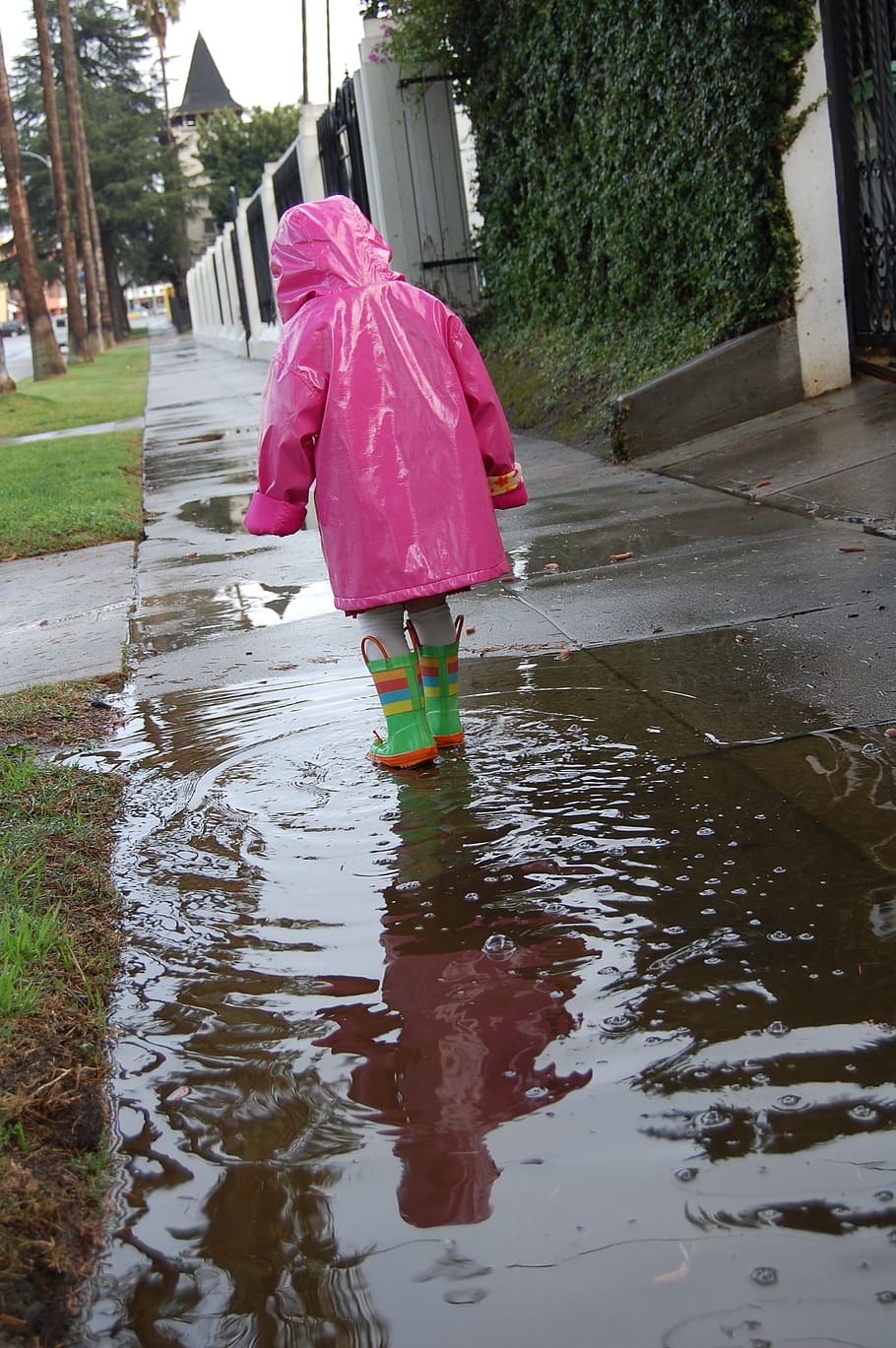 toddler wearing raincoat, child, girl, rain, puddle, raincoat, pink, sidewalk, rainy, outdoors