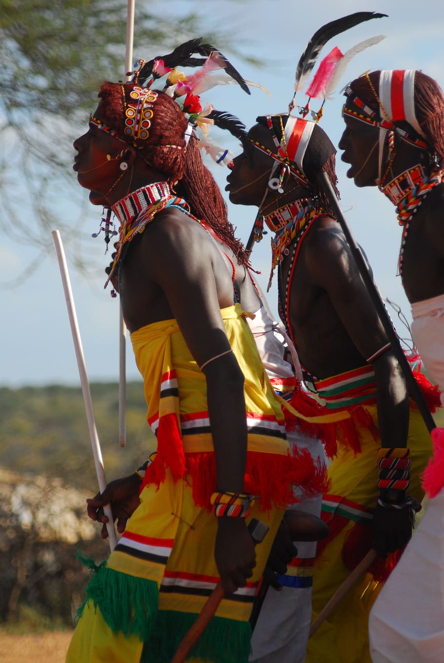 samburu, tribe, kenya, moran, ceremony, africa, wedding, tribal, traditional, marriage